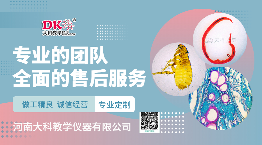 大科官网插图 (2)